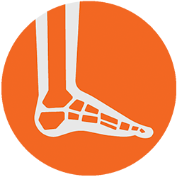 Foot Ankle Icon