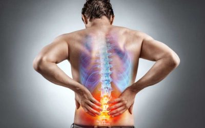 Back Pain 101: When It’s Time to See a Spine Specialist