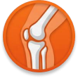 knee 1