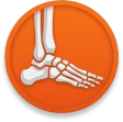 foot Ankle
