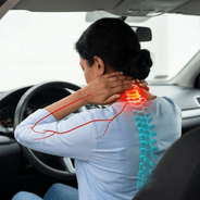 Spine cona spine 4eef1115 27 1054054000000000000028